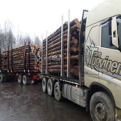 Trans Tuovinen Oy, puiden kuljetus